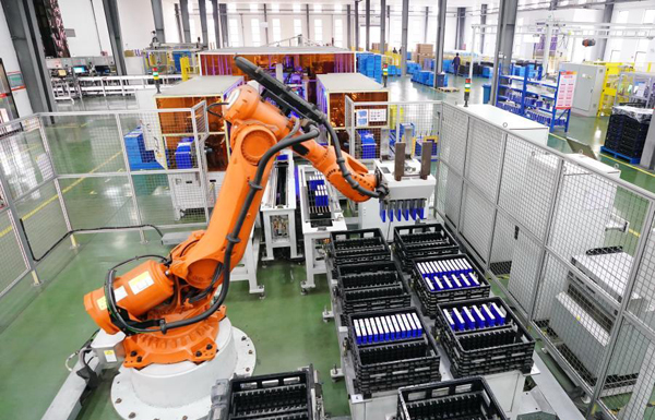 china custom independent power supply lithium pump