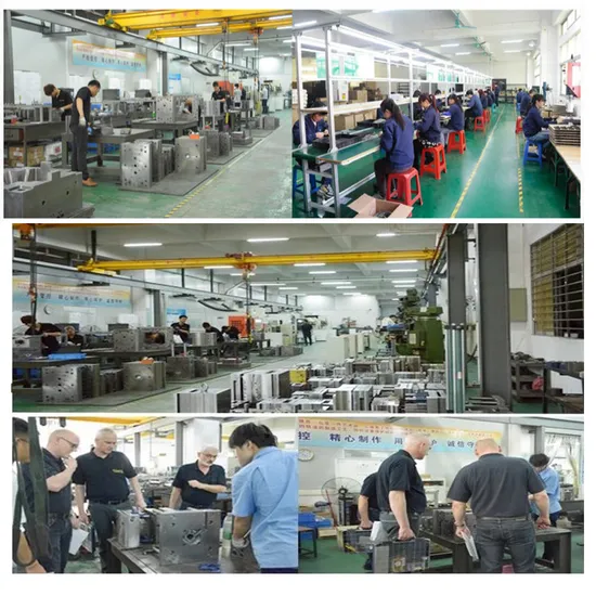 china custom mold supplier