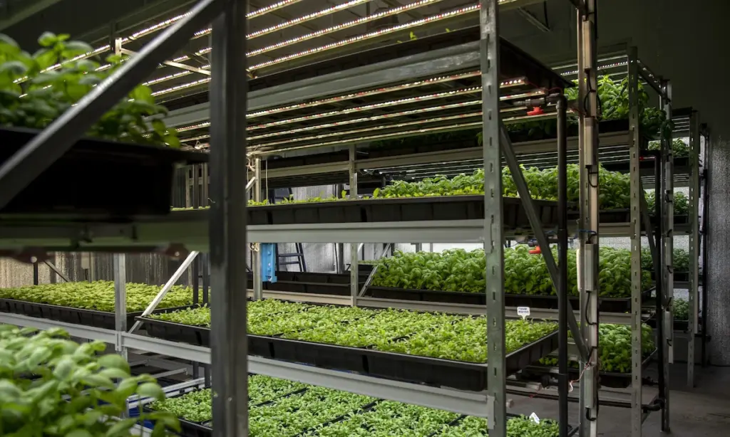 china customized oem full spectrum grow strip China Factory