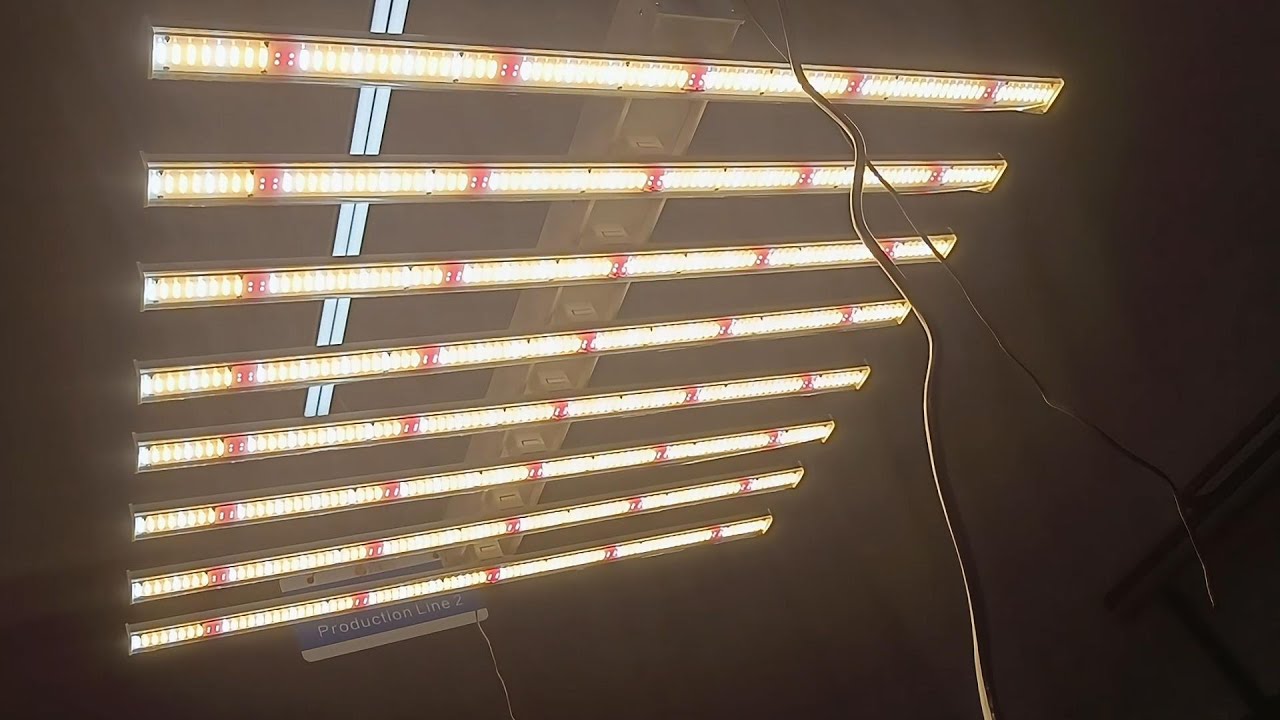 china customized oem full spectrum grow strip