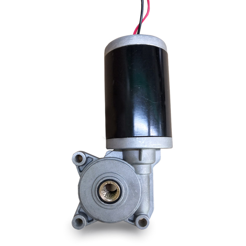 china dc gear motor manufacturer