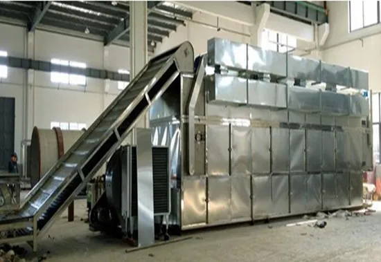 china dehydrated vegetables factory