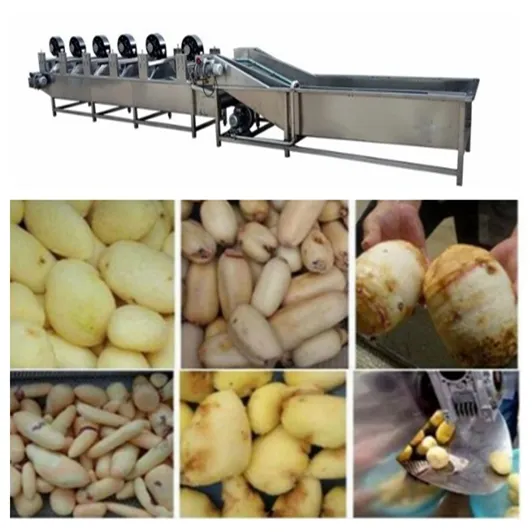 china dehydrated vegetables factory