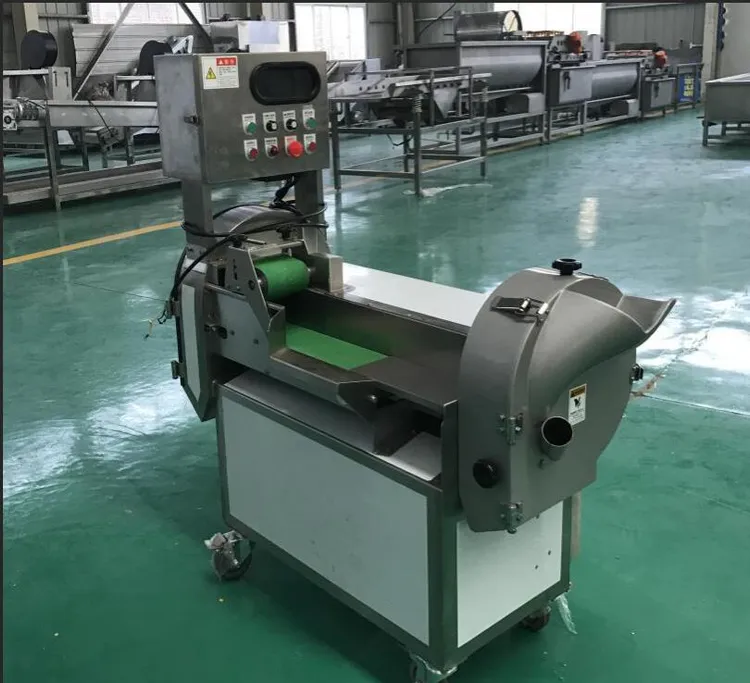 china dehydrated vegetables factory