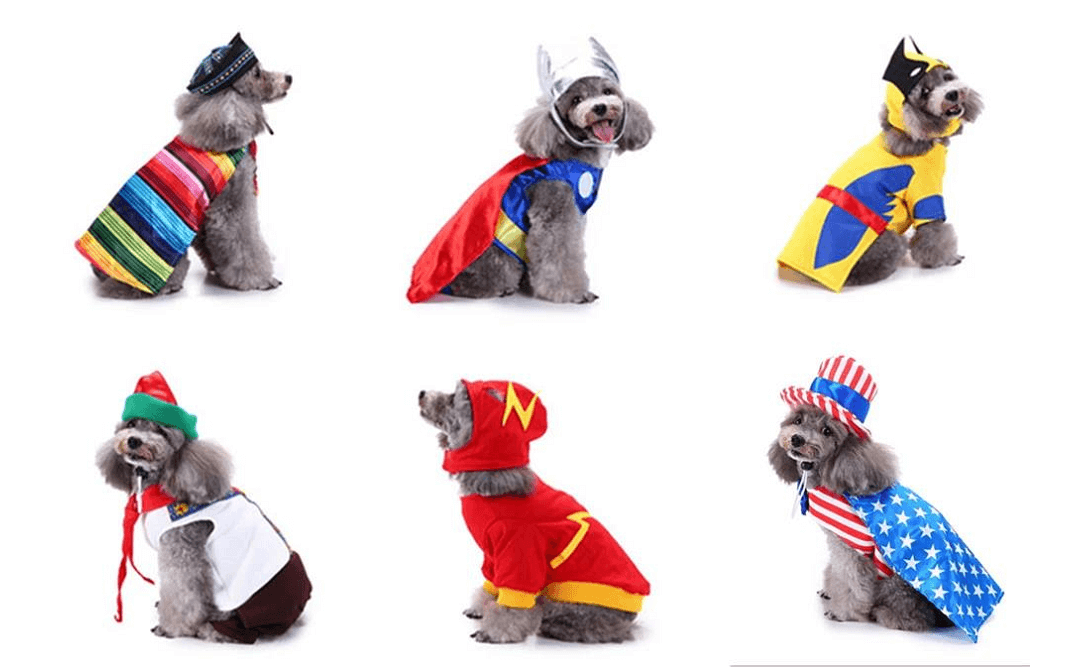 china dog clothes manufacturers