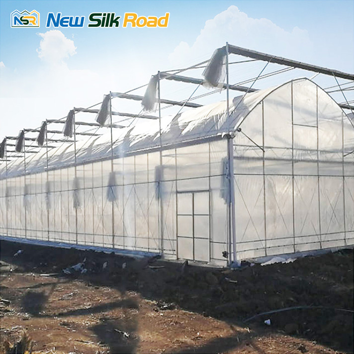 china dome greenhouse manufacturers