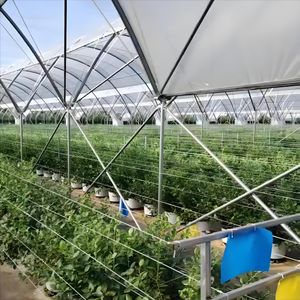china dome greenhouse manufacturers