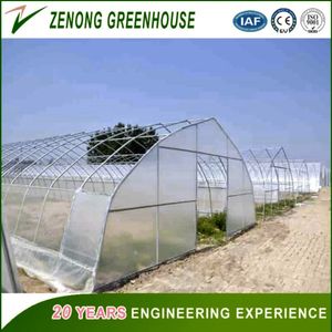 china dome greenhouse manufacturers