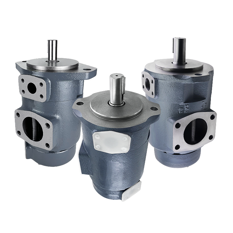 china double vane pump factory