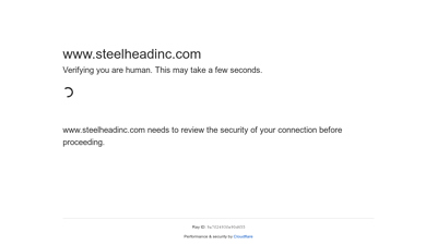 Steelhead Inc.: Advanced Bottling & Water Treatment Solutions