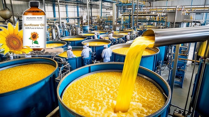 Of Sunflower Oil industry insight