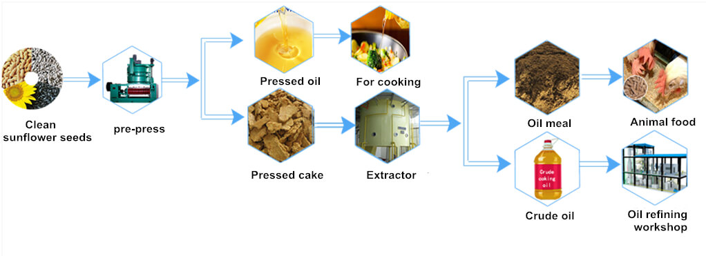 Of Sunflower Oil industry insight