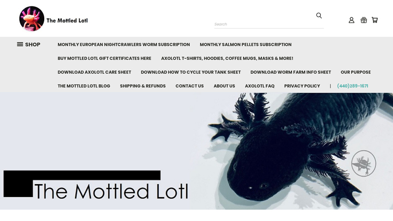 The Mottled Lotl