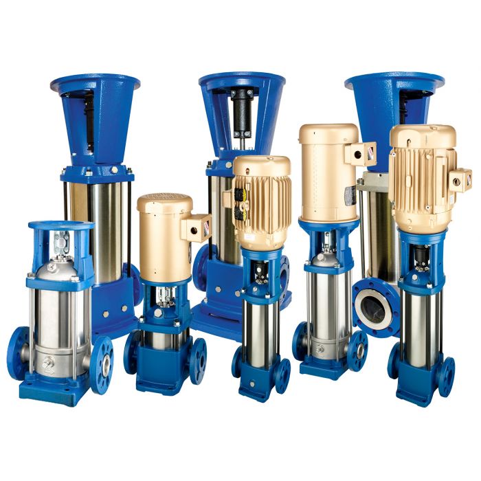 Illustrative example of vertical centrifugal pump from Google Search