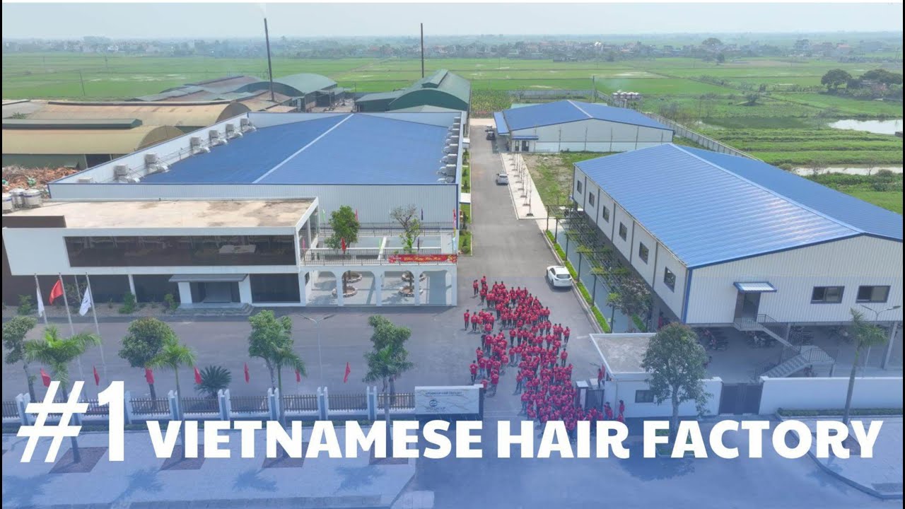 Vietnam Hair Factory