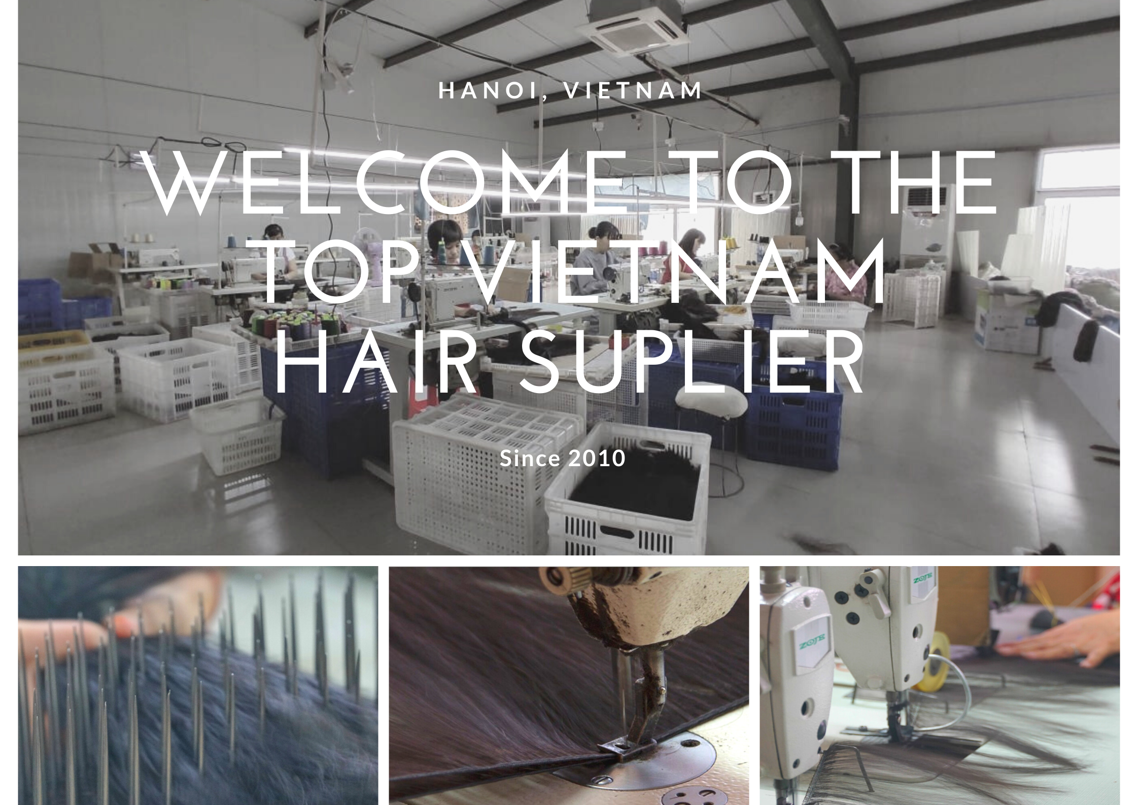 Vietnamese Hair Vendors industry insight