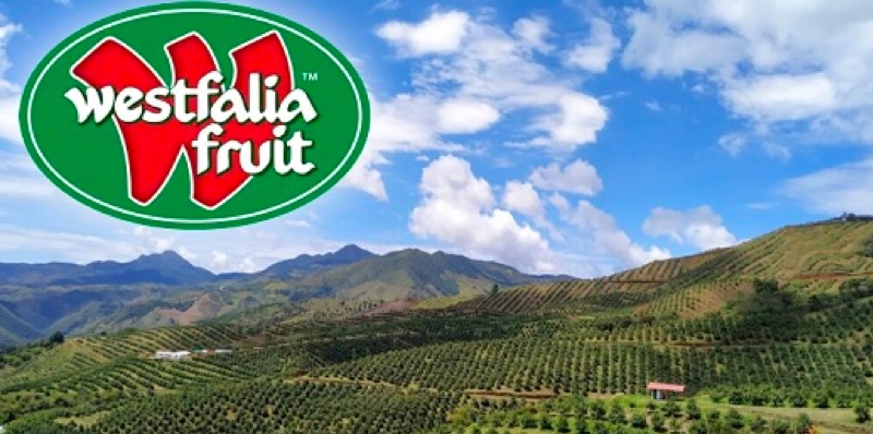 Westfalia Fruit