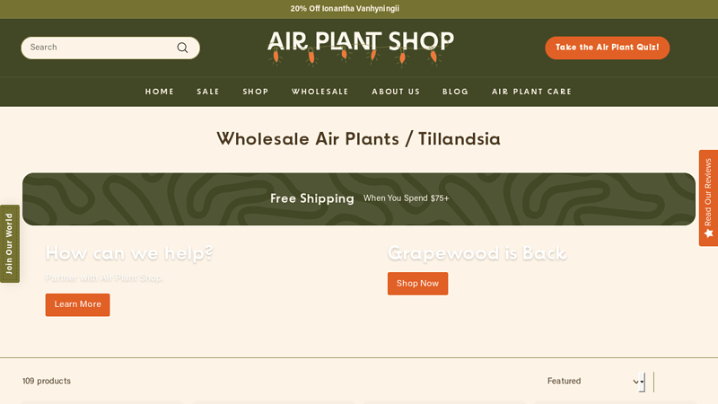 Wholesale Air Plants