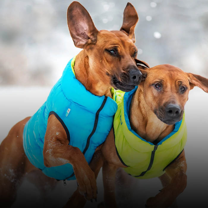 Wholesale Dog Clothes Manufacturers & Suppliers