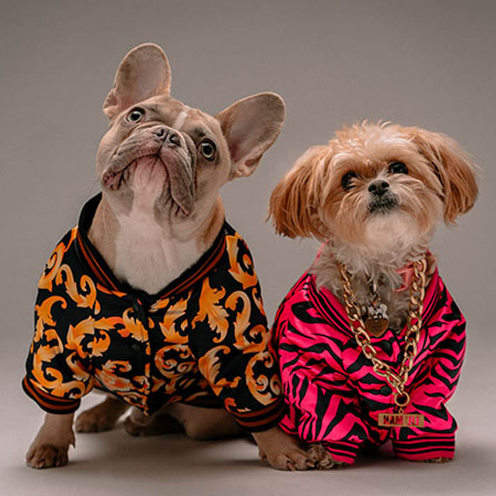 Wholesale Dog Dresses industry insight