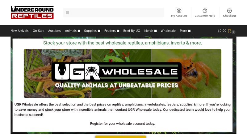 Wholesale Reptiles, Amphibians & Inverts