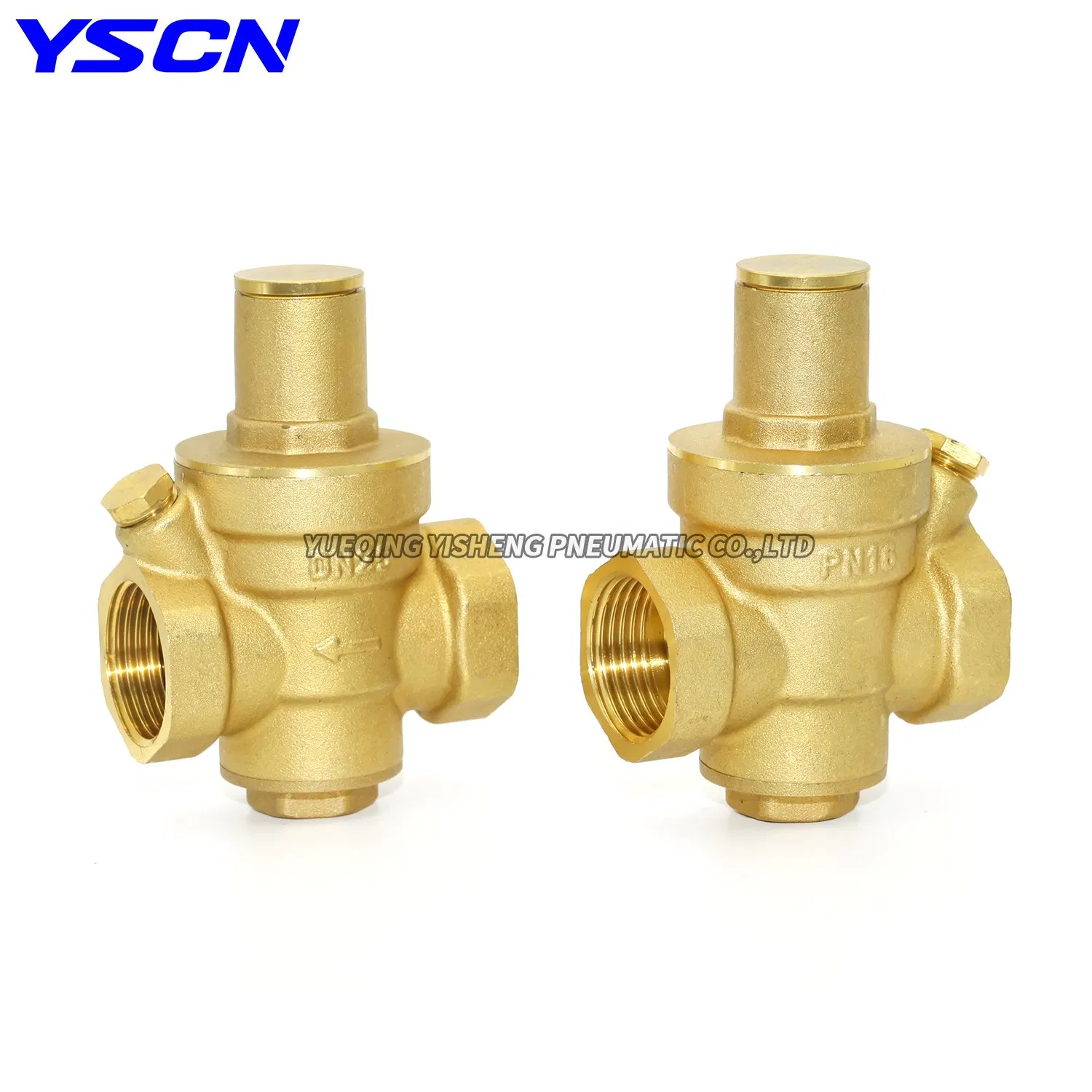 1 Inch Water Pressure Regulator industry insight