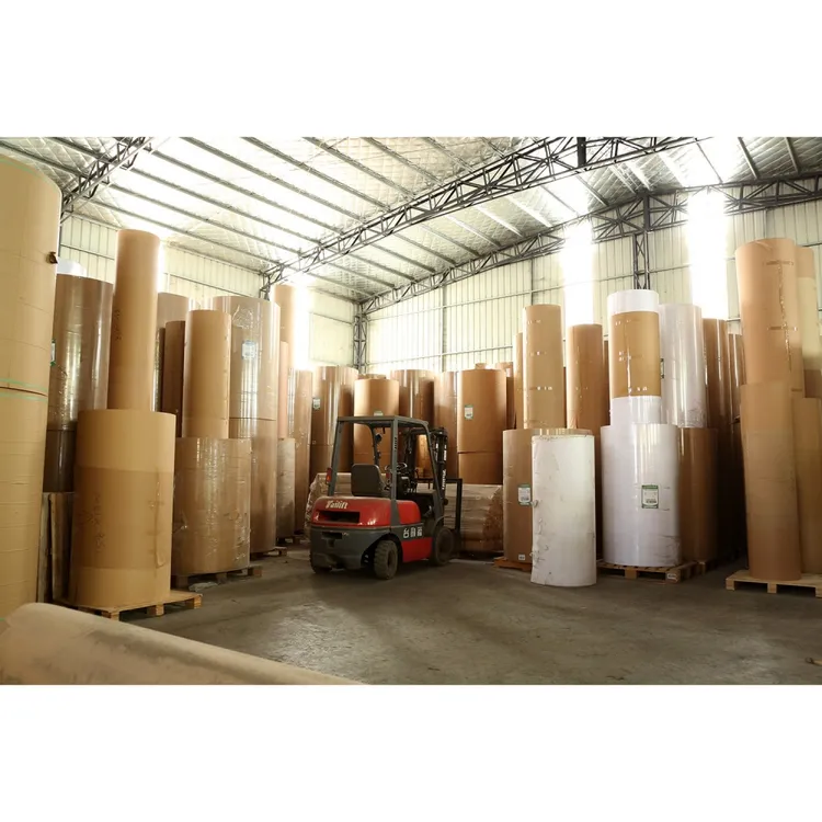 100 Gsm Paper industry insight