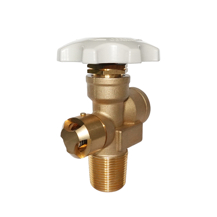 100 Pound Propane Tank Regulator industry insight