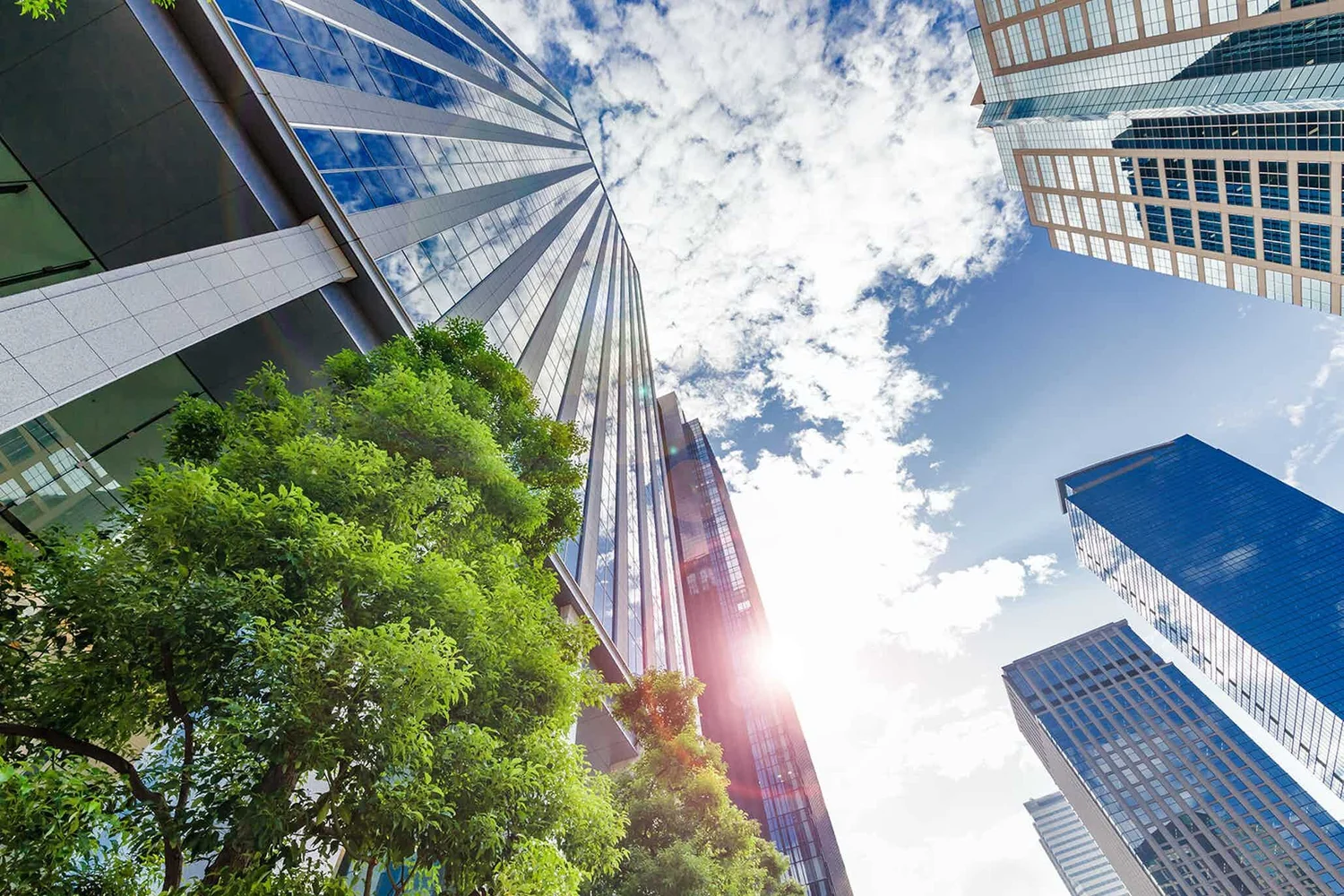 12 Brands Doing Corporate Social Responsibility Successfully (DMI)