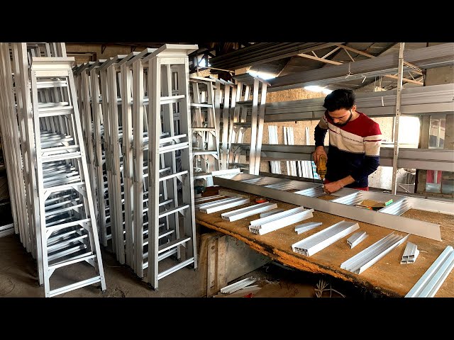12 Ft Aluminium Ladder industry insight