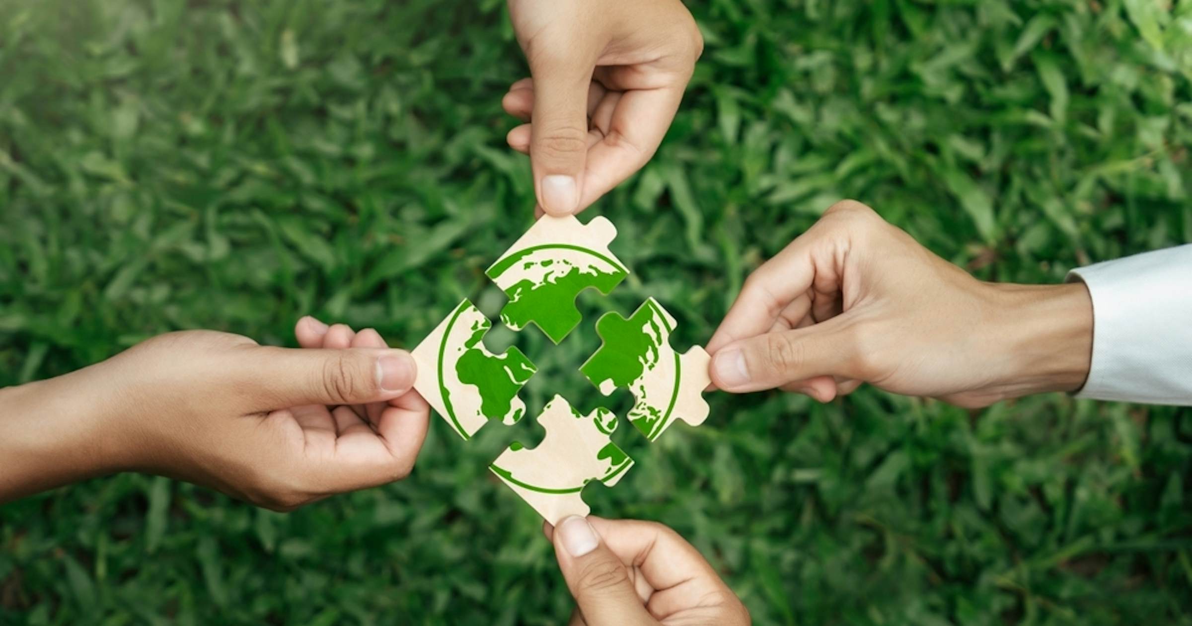 16 Brands Doing Corporate Social Responsibility Successfully