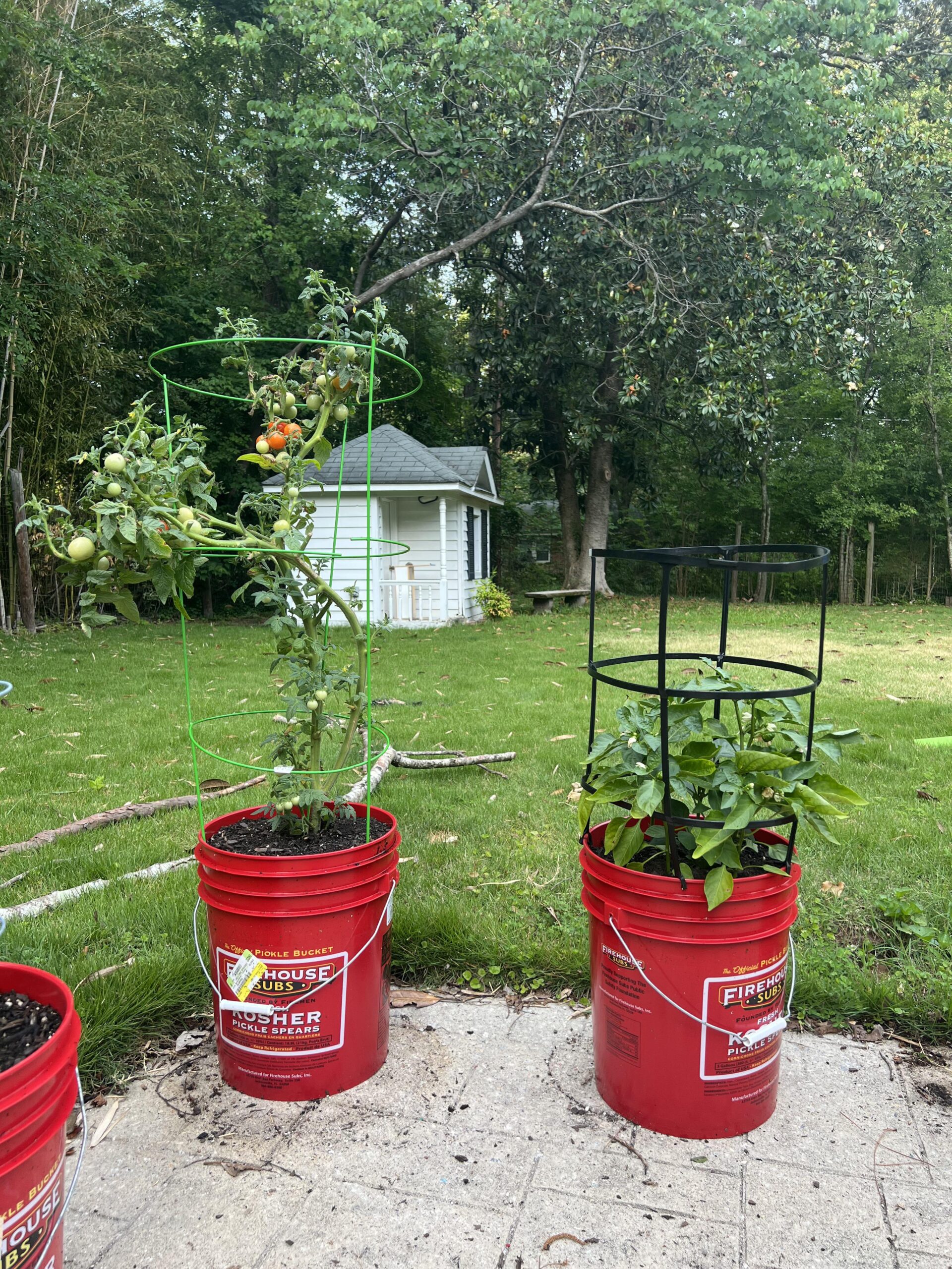 5 Gallon Pickle Bucket industry insight