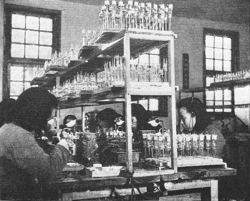 6J45 Vacuum Tubes industry insight