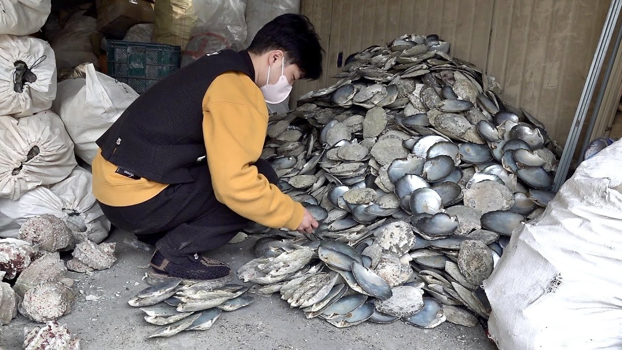 Abalone Mother Of Pearl industry insight