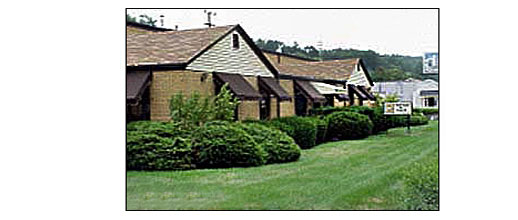 About Stimple and Ward