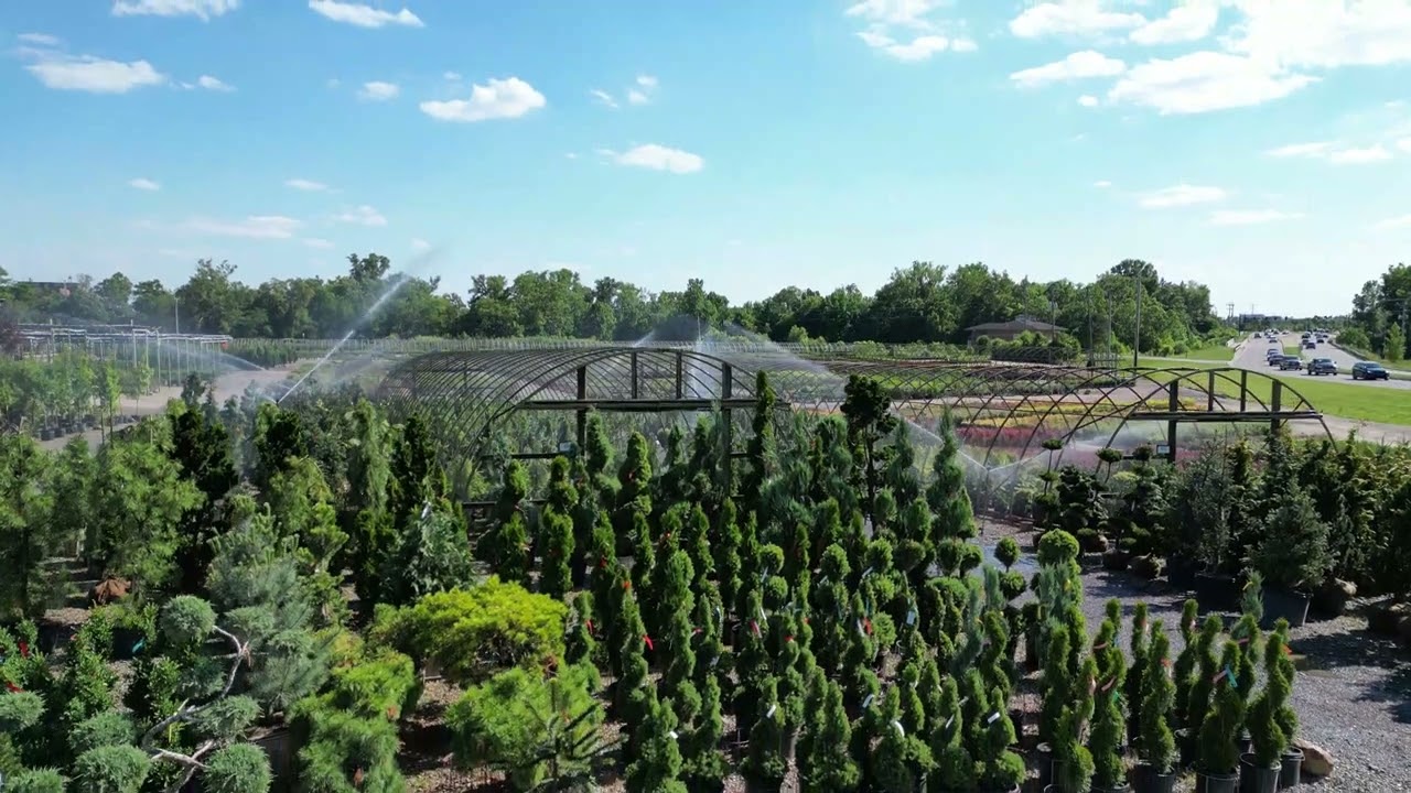 Acorn Farms Wholesale Nursery