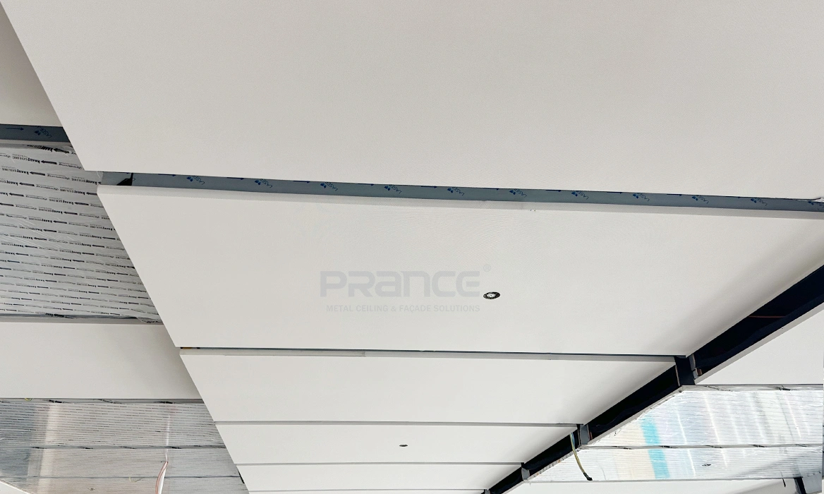 Acoustic Solutions for the Open Office