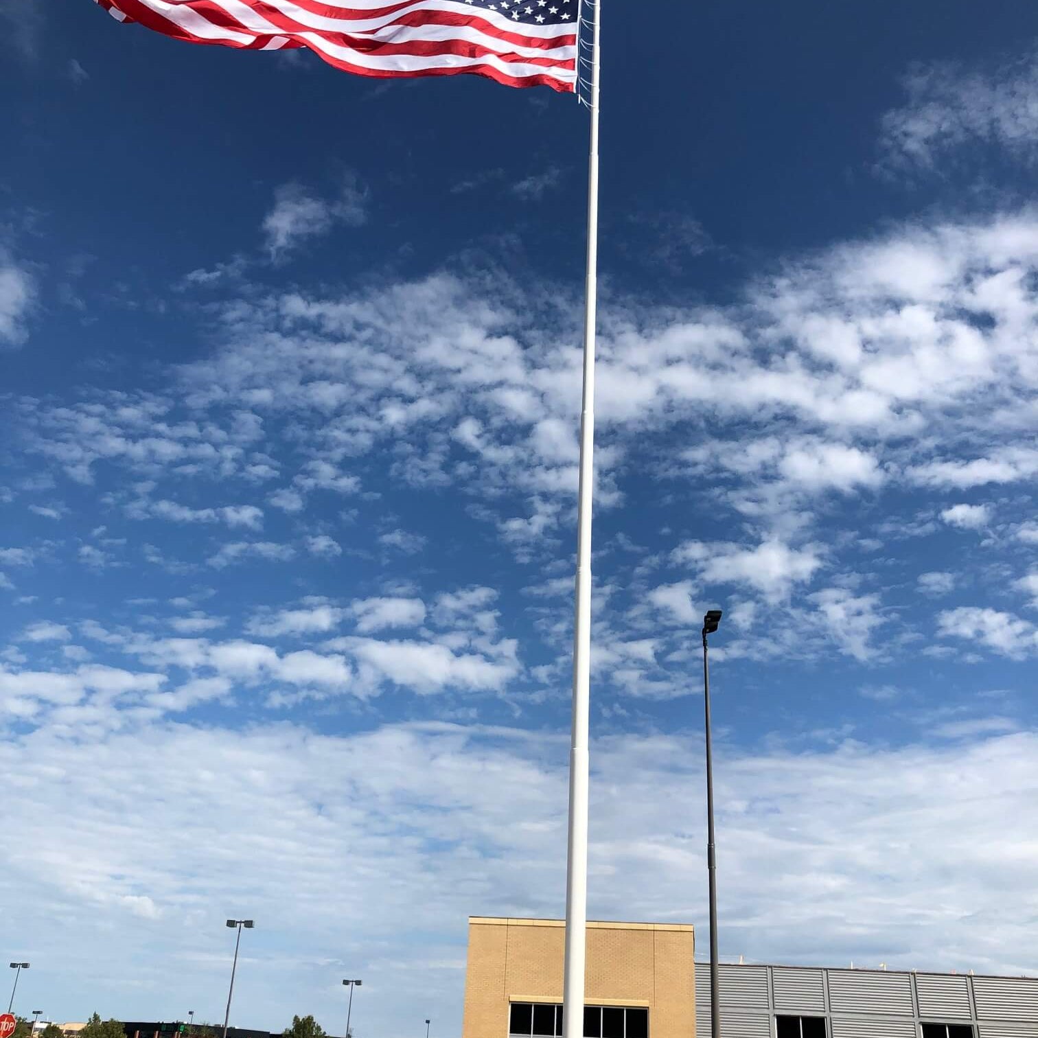 Action Flag: Flags for Sale Online