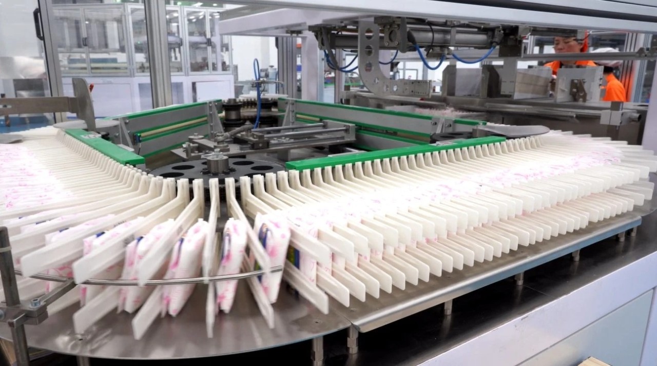 Adult Diaper Companies industry insight