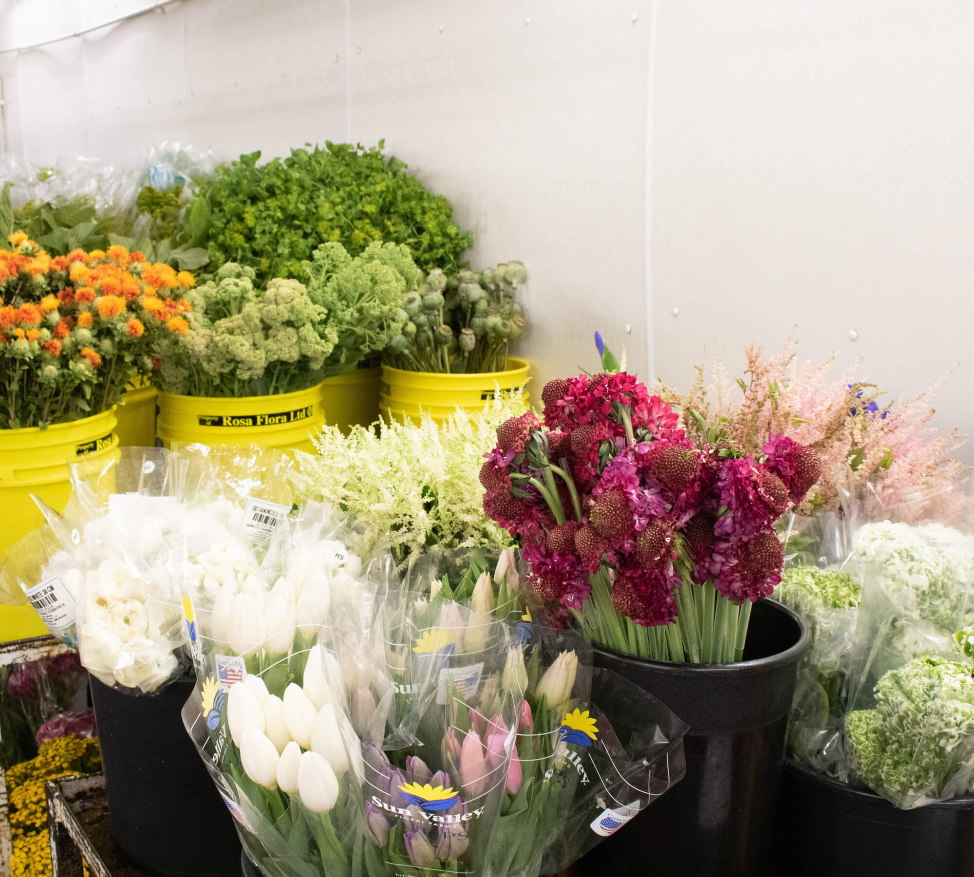 Affordable Bulk Flowers industry insight