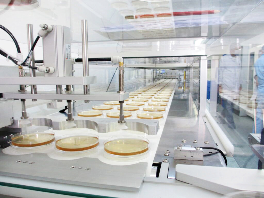 Agar industry insight