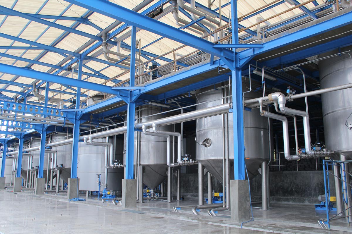 Agar industry insight