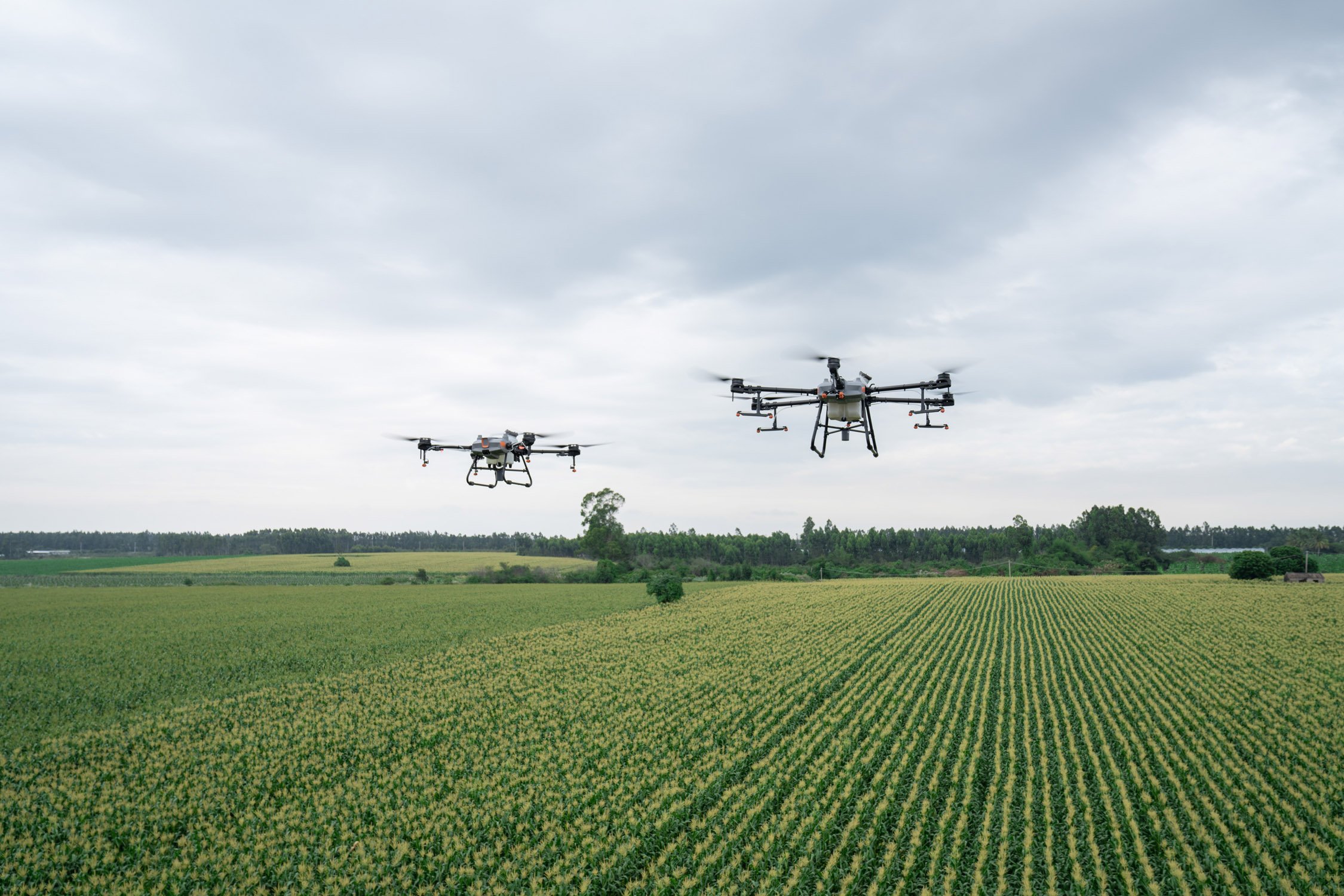 Agrispray Drones