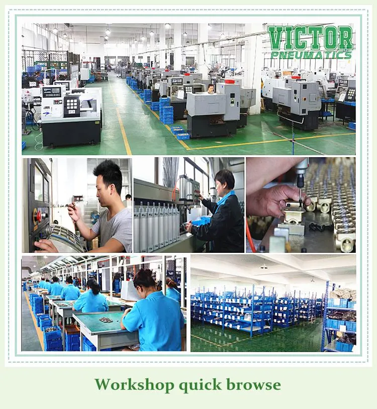 Air Operated Tailgate Cylinders industry insight