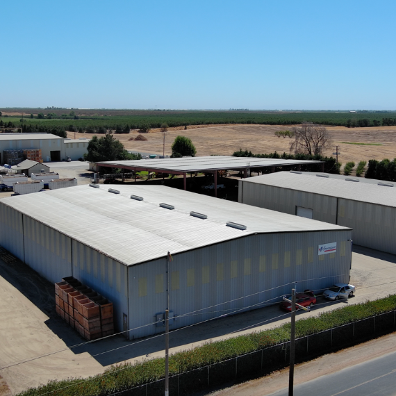 American Almond Company Inc