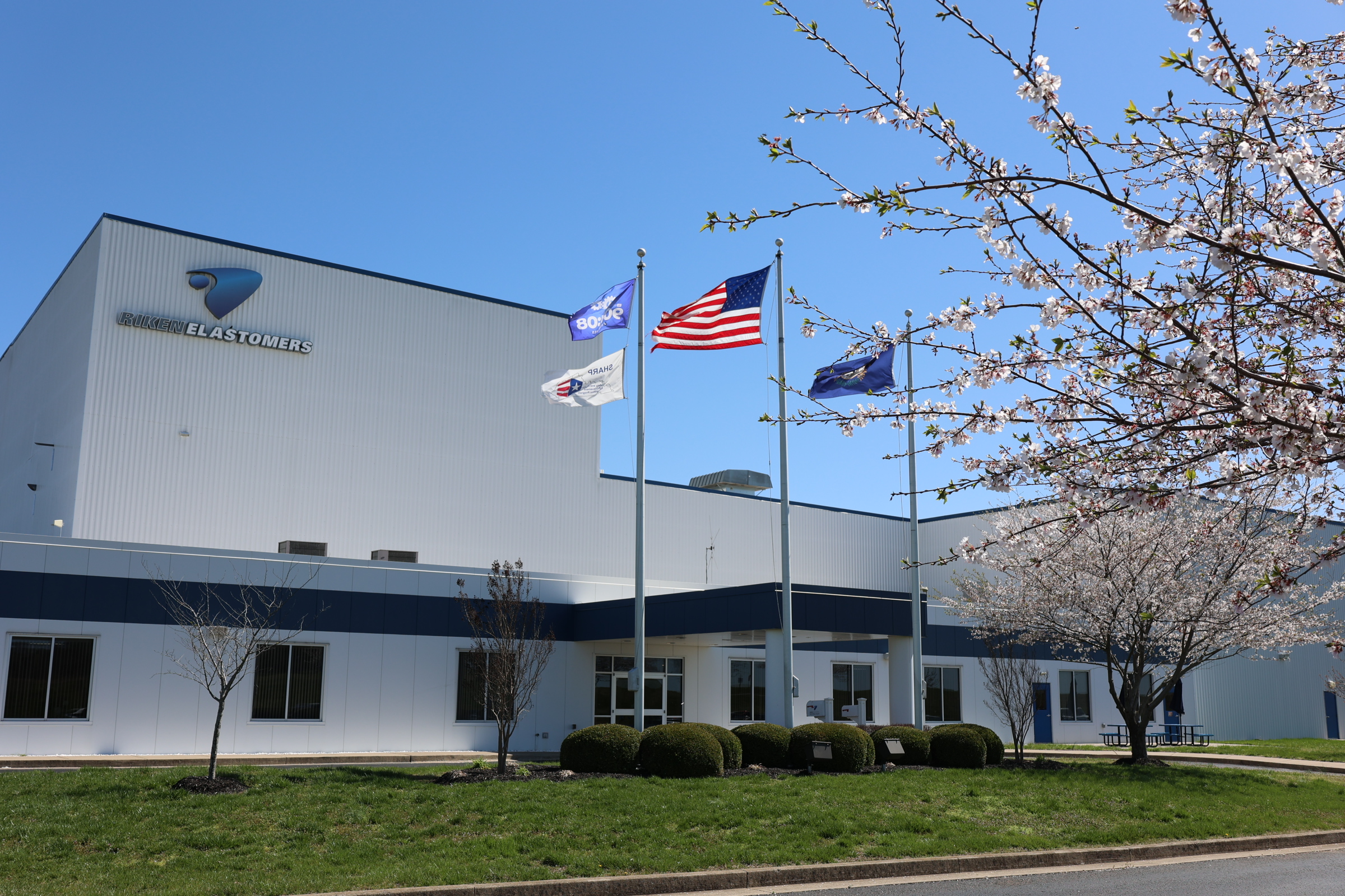 American Plastic Molding