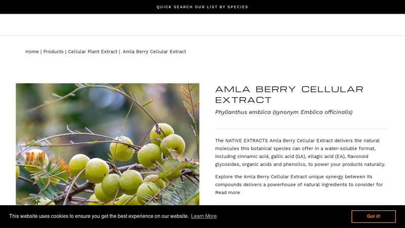Amla Berry Cellular Extract