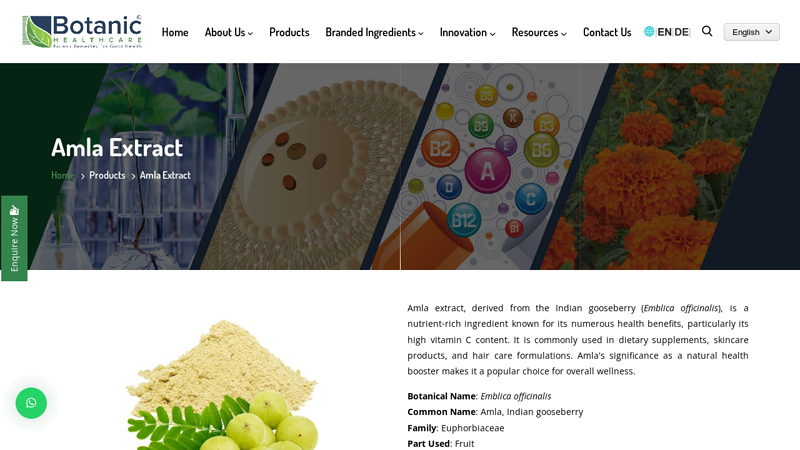 Amla Extract Manufacturers