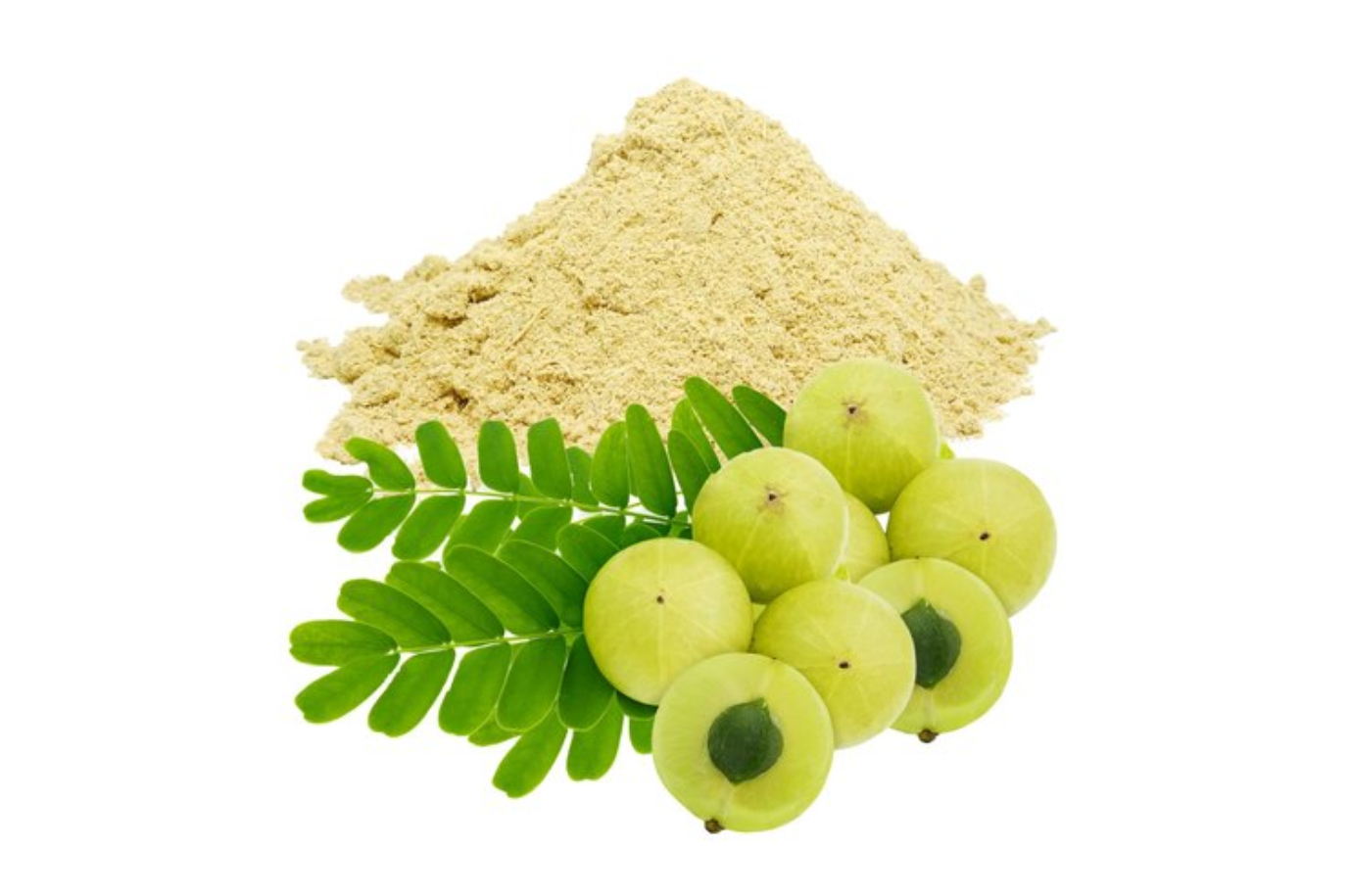 Amla Extract Manufacturers India