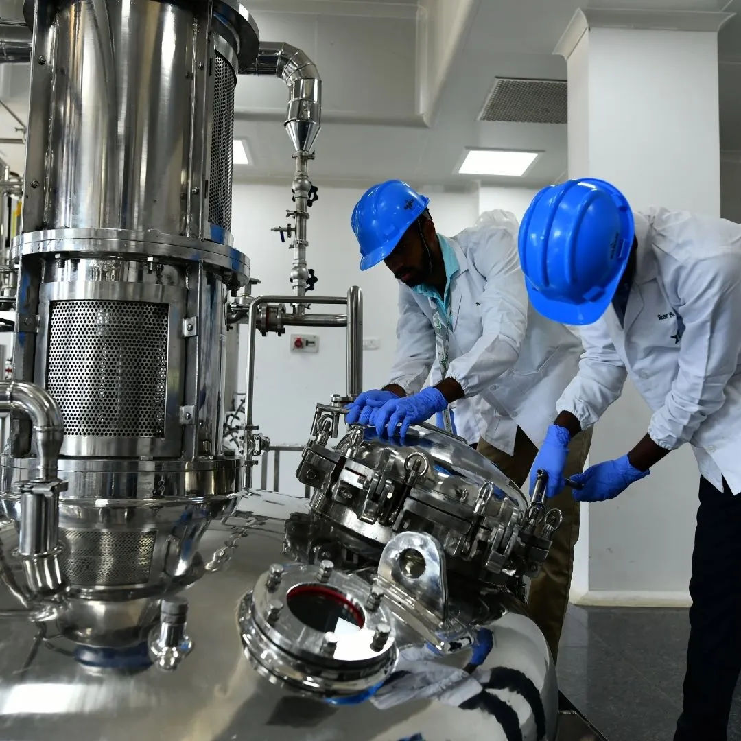 Amla Fruit Extract industry insight